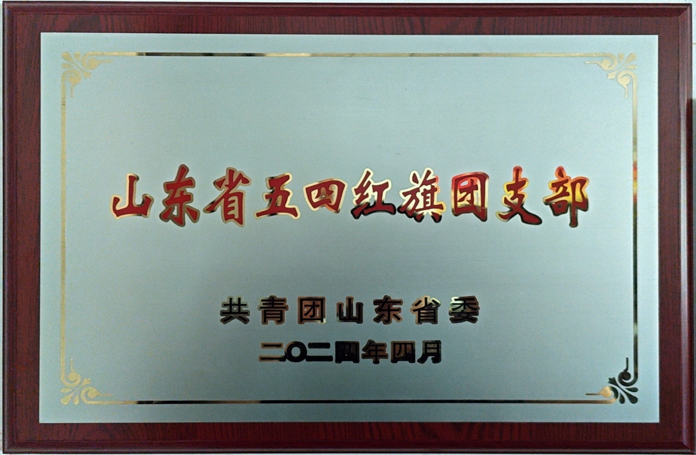 荣获2023-2024年度山东青年五四红